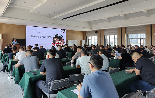  培訓 業(yè)務提升 銷售會議 